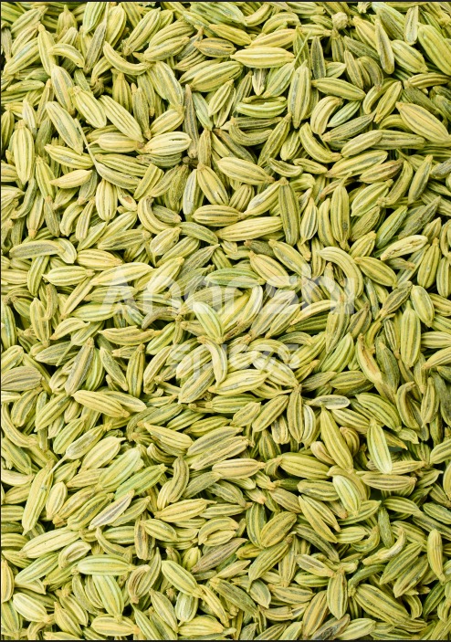 FENNEL SEEDS